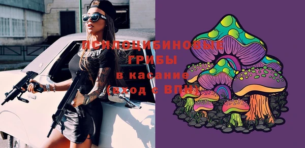 марки lsd Бородино