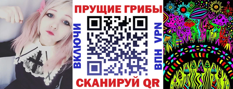 omg зеркало  Мещовск  Псилоцибиновые грибы GOLDEN TEACHER 